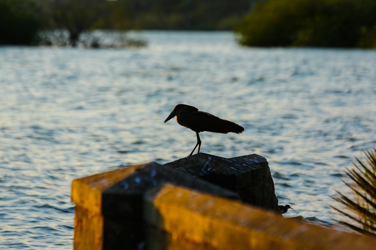 Katomi Kingdom Resort Entebbe Lyamutundwe エクステリア 写真